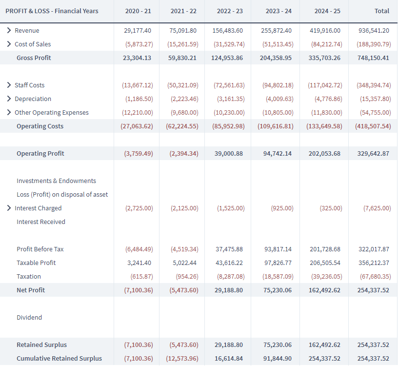 Financial Projection Template For Startups Brixx