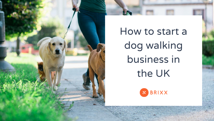 Person walking dogs with text reading "how to start a dog walking business in the UK"