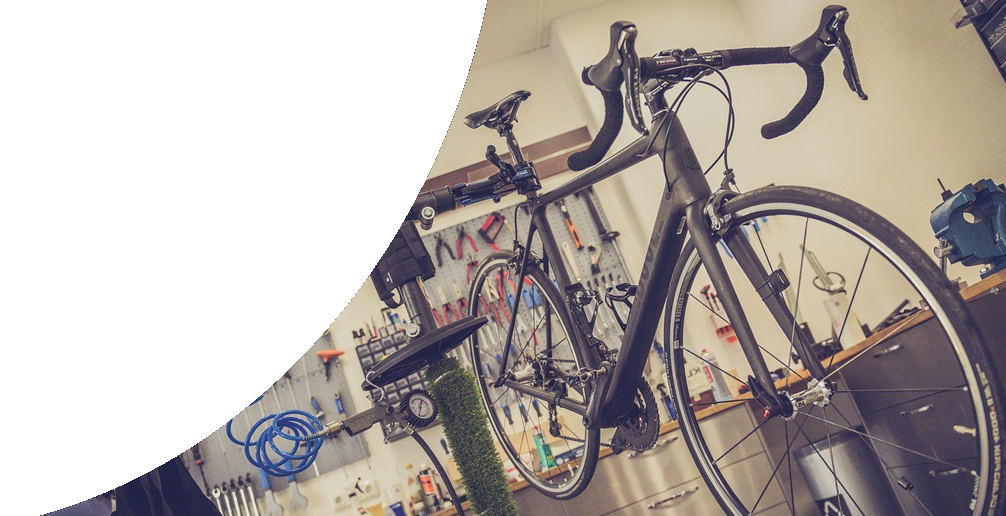 Financial Forecasting for Bike Shops