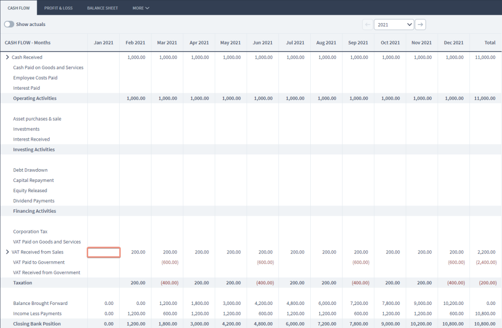 the Cash Flow Report shows