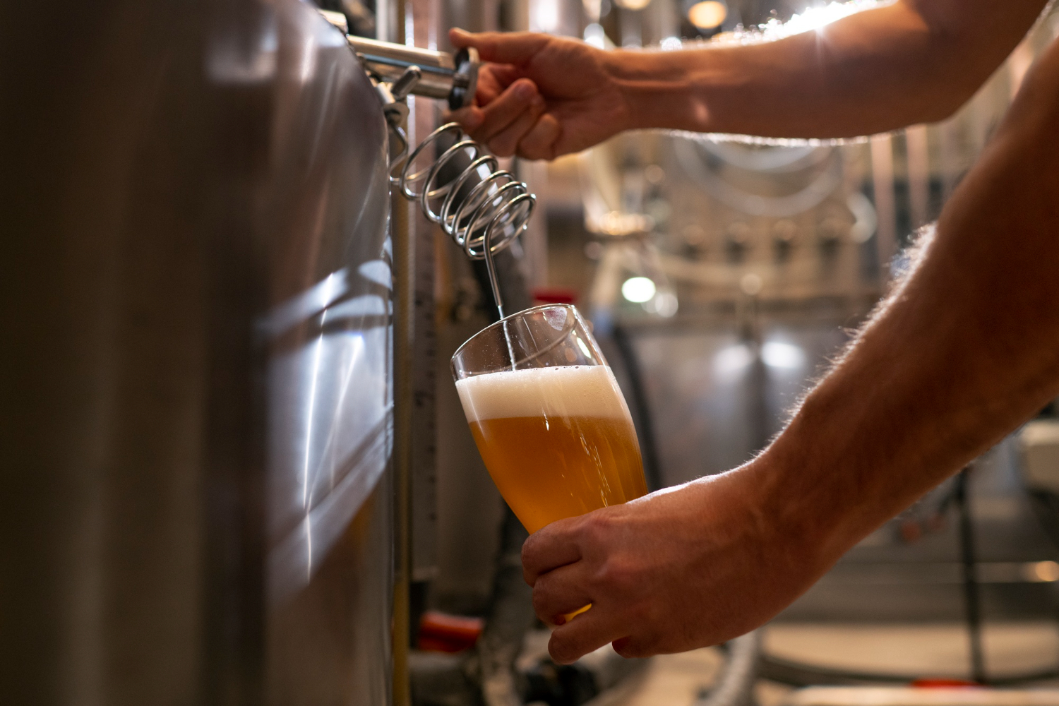 financial modelling tool for Breweries and Distilleries