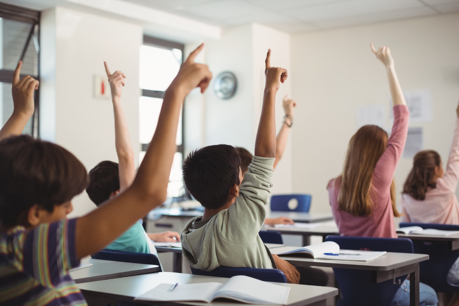 financial modelling tool for education providers