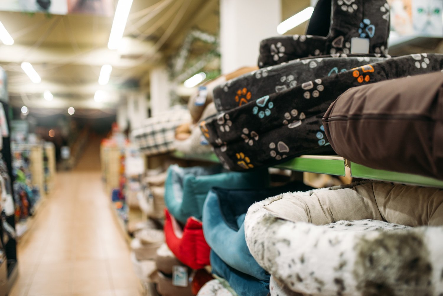 financial modelling tool for pet stores