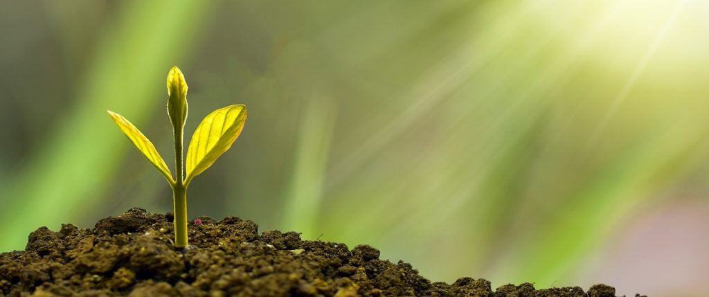 How to use the Rule of 72