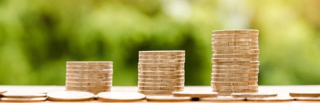 What are the different types of capital budgeting
