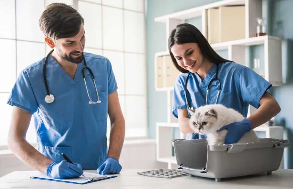 Veterinarians