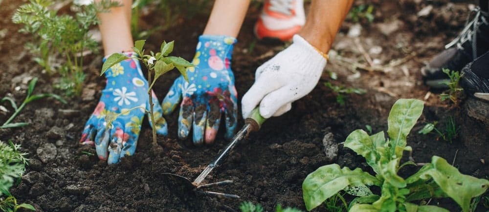 funding your gardening business