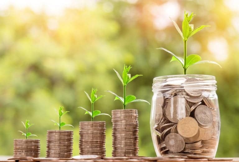 Growing money plants from coins, symbolising financial growth and investment.